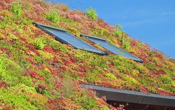 Illshaw Heath living roof systems